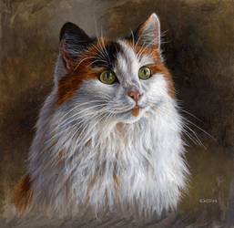 Portrait of a Cat