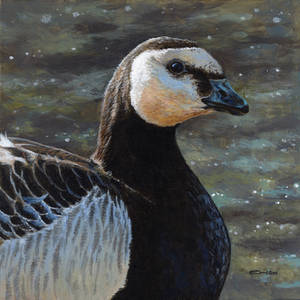 Barnacle-goose-esther-van-hulsen