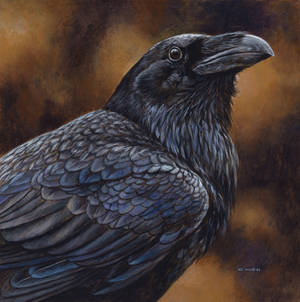 Raven painting
