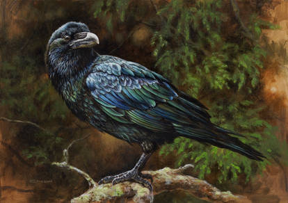 Raven painting