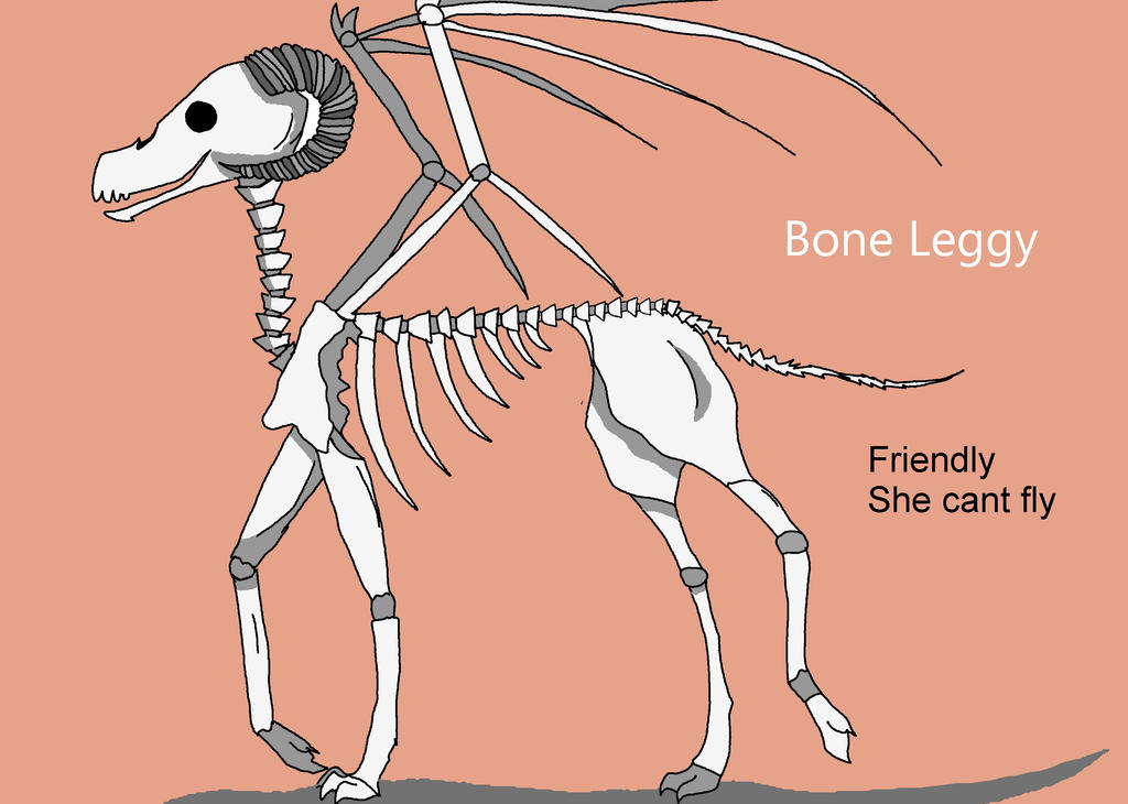 Oc Bone Pattern Bone Leggy - OC by Luluartis on DeviantArt