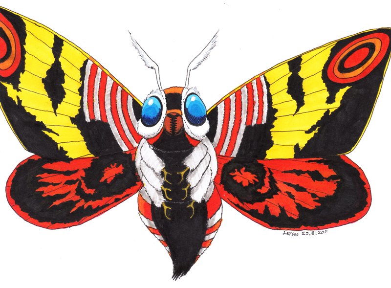 How To Draw Mothra Mothra Step By Step Drawing Guide vrogue.co