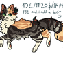 Soot'sun // CLOSED adopt