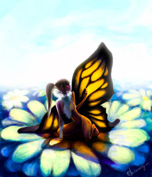 butterfly