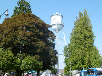 Local Water tower