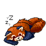 ANIMATION Sleeping red panda