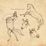 Horses-sketches1