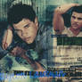 Taylor Lautner