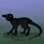 155: Crookshanks by TarkeeTales