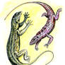 Lizard Dance