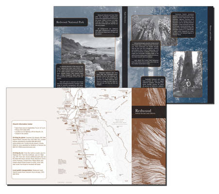 Redwood park trifold brochure