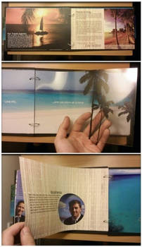 Bahamas Tourist Book