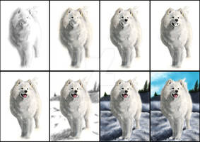 samoyed tutorial