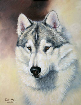 siberian husky painting