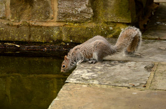 Thirsty Work