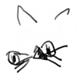 Cat Fractured