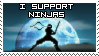 i support ninjas