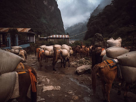 Himalayas 2016