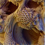 Honeycomb Heaven