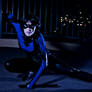 Earth 63 Nightwing