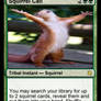 Squirrel Call