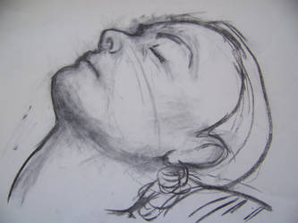 Life Studies, Sleeping beauty