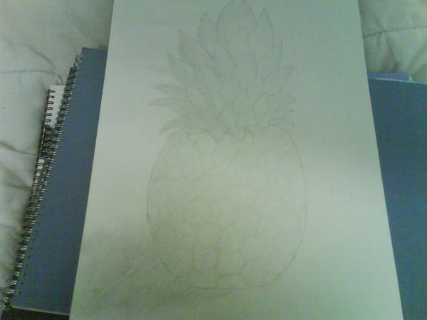 pineapple sketch