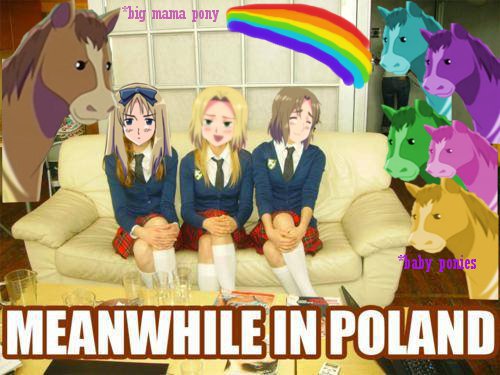 Meanwhile in Poland...