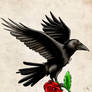 Raven with rose 2