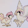 Pidgeotto + Pidgeot