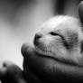 Endearment