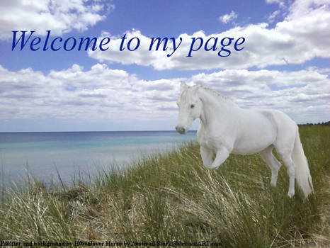 Horse welcome banner