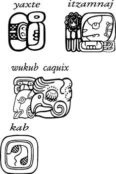 Mayan Glyphs, yaxte, itzamnaj, wukub caquix, kab