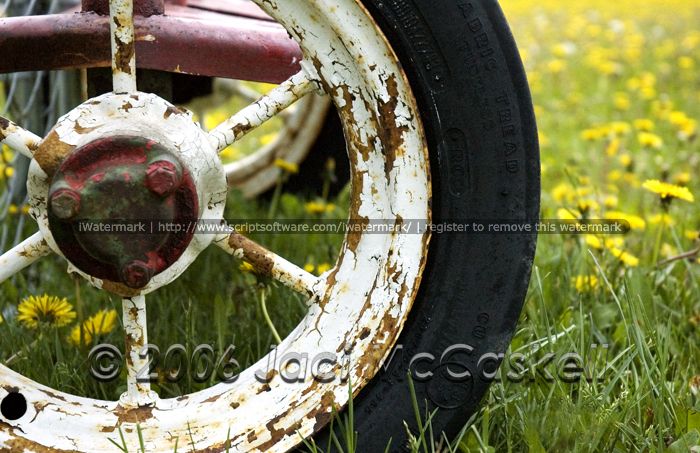 Forgotten Wheel