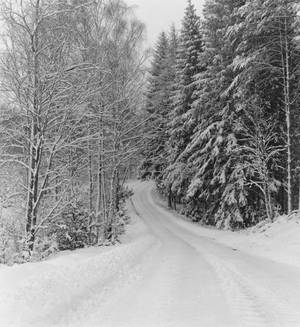 Winter road