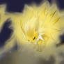 Dark Jolteon WIP finished