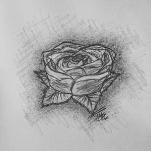 Sketchy rose