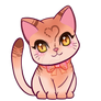 (SOLD) Kitty Adoptable: Orange