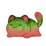 Melon Cat Adoptable