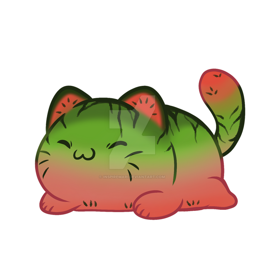 Melon Cat Adoptable