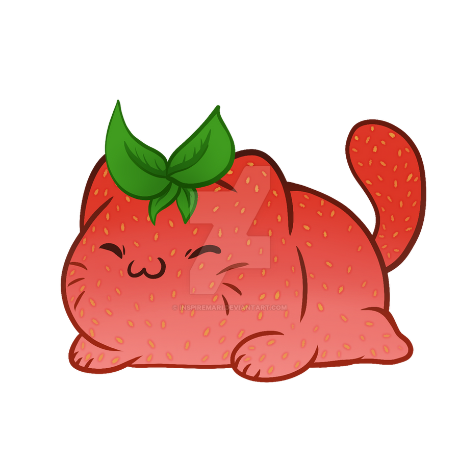 Strawberry Cat Adoptable