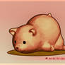 3D Cute Bear