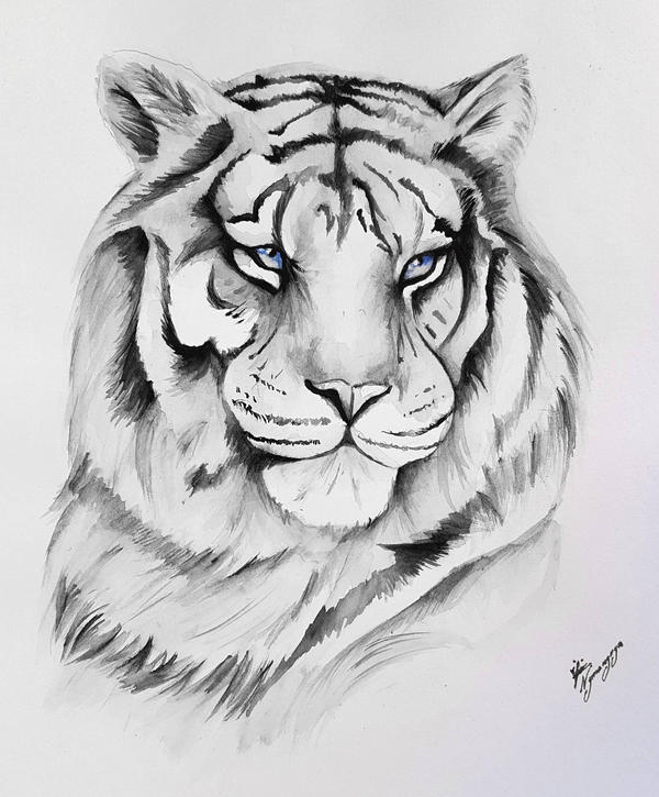 White tiger by Nymonyrya on DeviantArt