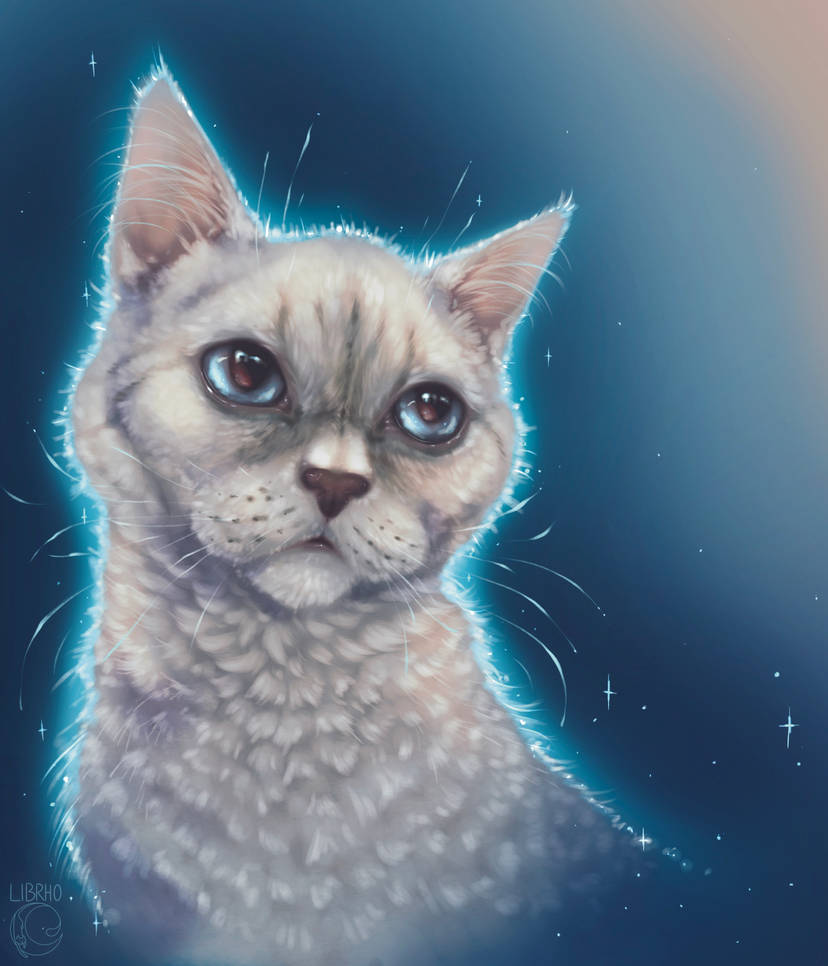 Indigo Blue Python Indigo Blue by Librho on DeviantArt