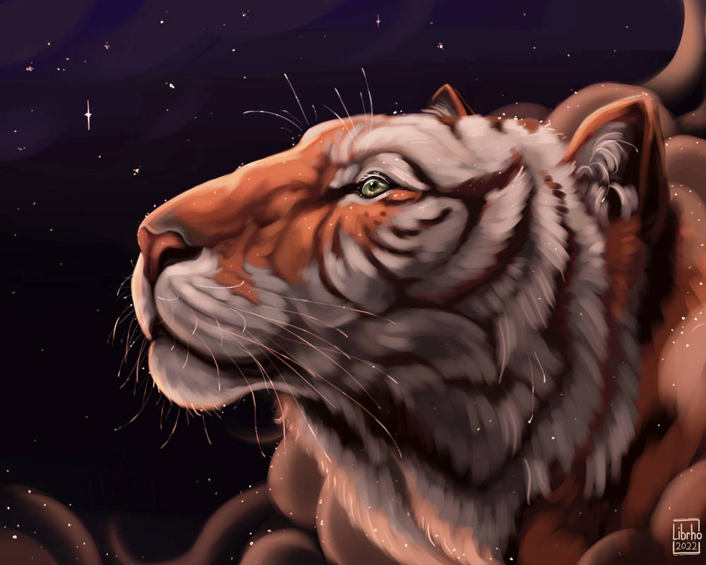 Stargazer by Librho on DeviantArt