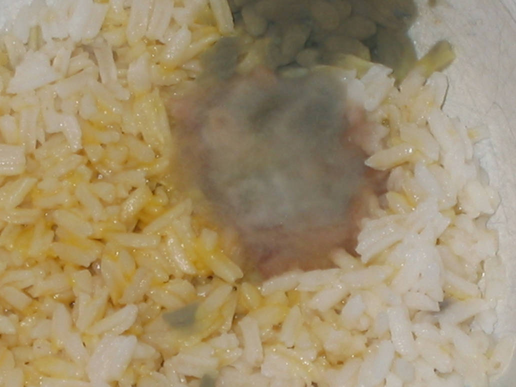 Moldy Clumpy Rice Moldy rice by genesissonic on DeviantArt