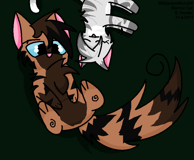 Hawkfrost and Ivypool