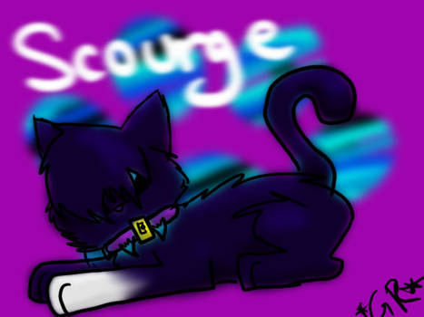 Scourge is a blur