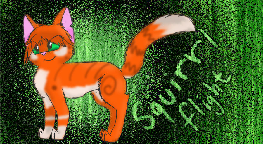 Squirrelfight of ThunderClan