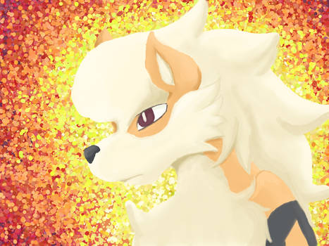 Arcanine